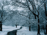 Buy Hampstead Heath in Winter, London, England at AllPosters.com