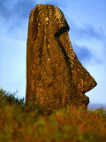 Buy Moai Statue Lying Submerged in Soil, Rano Raraku, Easter Island, Valparaiso, Chile at AllPosters.com