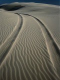 Tyre Tracks Leading into Stockton Sand Dunes, Newcastle, New South Wales, Australia