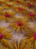 Buy Incense Sticks at Chinese Pagoda, Cholon, Ho Chi Minh City, Vietnam at AllPosters.com