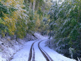 Buy Winter Snow Covers a Road in the Mt. Sneffels Wilderness, San Juan National Forest, Colorado at AllPosters.com