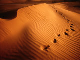 Buy Footprints in Rippled Red Sand of Perry Sand Dunes, Near Mildura, New South Wales, Australia at AllPosters.com
