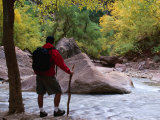 Crossing the Virgin River in the Zion National Park, Zion National Park, Utah, USA