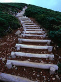Buy Wooden Steps on Mt. Hakkoda-San Hiking Trail in Aomori-Ken, Mt. Hakkoda-San, Japan at AllPosters.com