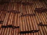 Buy Stacks of Cigars in a Cigar Factory, Havana, Cuba at AllPosters.com