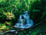 Wagner Falls and Surrounding Vegetation, Munising, USA