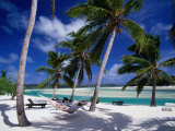 Person Relaxing in Hammock Under Palm Trees on White Sand Beach, Cook Islands