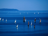 Sailing Boats in Bay, Brest, France