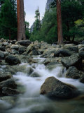 Buy Yosemite Creek, Yosemite National Park, California, USA at AllPosters.com