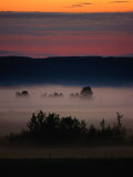 Buy Mist Over Countryside, Calgary, Canada at AllPosters.com
