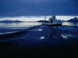 Fishing Boat Plowing Through Calm Waters Outside of Lofoten, Lofoten, Nordland, Norway