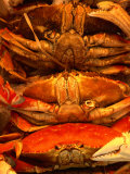 Buy Pile of Crabs for Sale at Pike Place Market, Seattle, USA at AllPosters.com