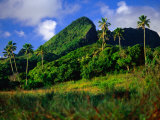Buy Palm Trees and Dense Jungle Peaks, Rarotonga, Southern Group, Cook Islands at AllPosters.com