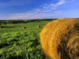 Hay Bales near Bottineau, North Dakota, USA