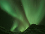 Buy Northern Lights, Arctic National Wildlife Refuge, Alaska USA at AllPosters.com