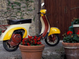 Buy Scooter, Preggio, Umbria, Italy at AllPosters.com