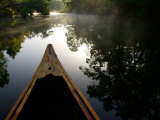 Buy Canoeing Alexander Springs Creek, Ocala National Forest, Florida at AllPosters.com