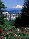 Buy People at the Washington Park Rose Test Gardens with Mt Hood, Portland, Oregon, USA at AllPosters.com