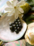 Buy Black Pearl Farming at Hinano Pearl Farm, Fakarava, Tuamotus, French Polynesia at AllPosters.com