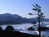 Cannon Beach from Ecola State Park, Oregon, USA