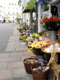 Flowers For Sale, Munich, Germany