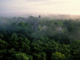 Buy Tikal, Maya, Guatemala at AllPosters.com
