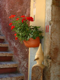 Private Staircase with Flowerpot, Malcesine, Italy