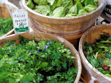 Buy Herbs and Greens, Ferry Building Farmer's Market, San Francisco, California, USA at AllPosters.com