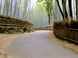 Buy Bamboo Line, Kyoto, Japan at AllPosters.com