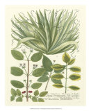 Buy Weinmann Greenery IV at AllPosters.com