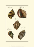 Buy Neptune's Treasure IV at AllPosters.com