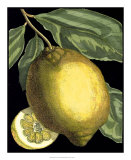 Fragrant Citrus II