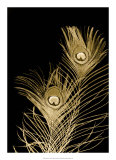 Buy Plumes d'Or II at AllPosters.com