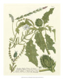 Buy Weinmann Greenery II at AllPosters.com