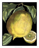Fragrant Citrus I