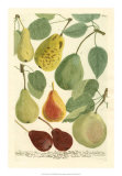Buy Plentiful Pears I at AllPosters.com