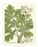 Buy Weinmann Greenery I at AllPosters.com