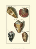 Buy Neptune's Treasure I at AllPosters.com
