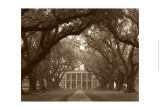 Buy Oak Alley at AllPosters.com