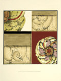 Rosette Composition IV