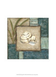 Shell Montage III