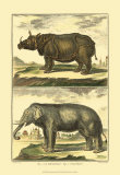 Buy Elephant and Rhino at AllPosters.com