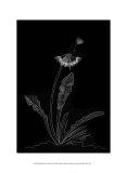 Buy Dandelion Garden II at AllPosters.com