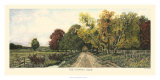 The Country Road