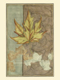 Autumnal Composition I