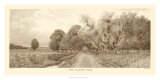 The Country Road in Sepia