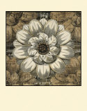 Buy Rosette Detail IV at AllPosters.com