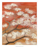 Mandarin Mist II
