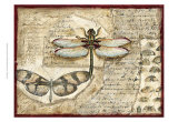 Poetic Dragonfly I