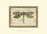 Dragonfly Harmony I